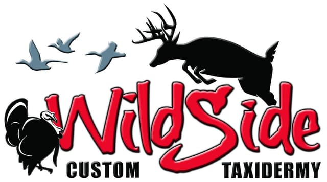 Wildside Custom Taxidermy logo